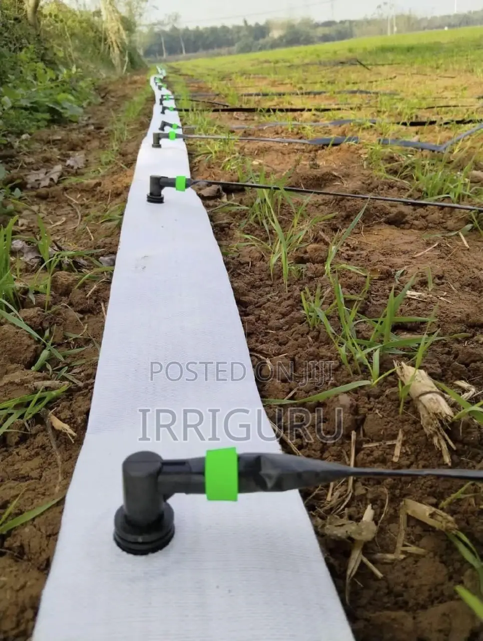 Drip Irrigation Surface Pipe