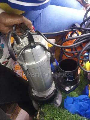 Leonhard 2hp Drainage Pump/Sewage Pump Outlet 3inch