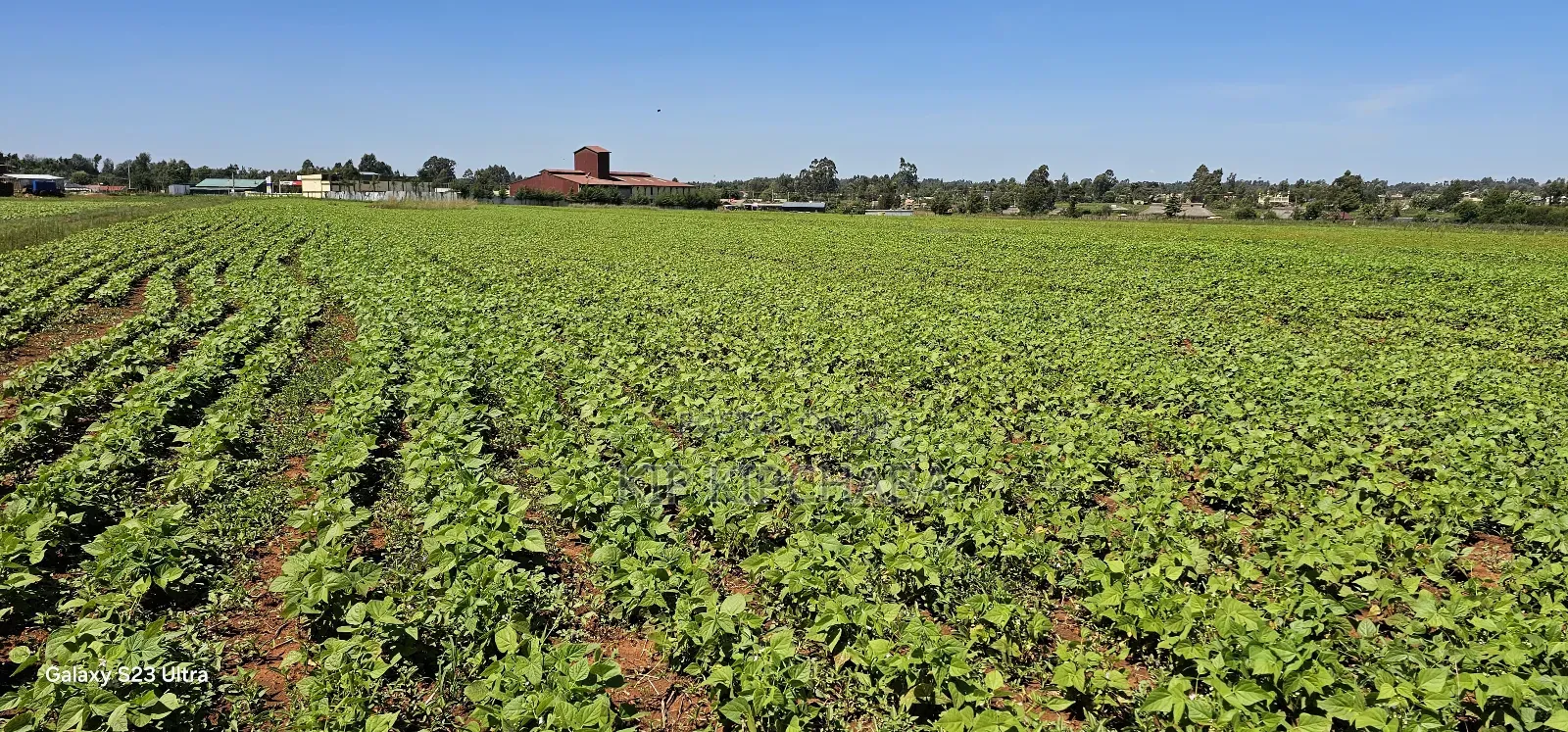 Commercial Plots for Sale in Eldoret Marura Behind Delta