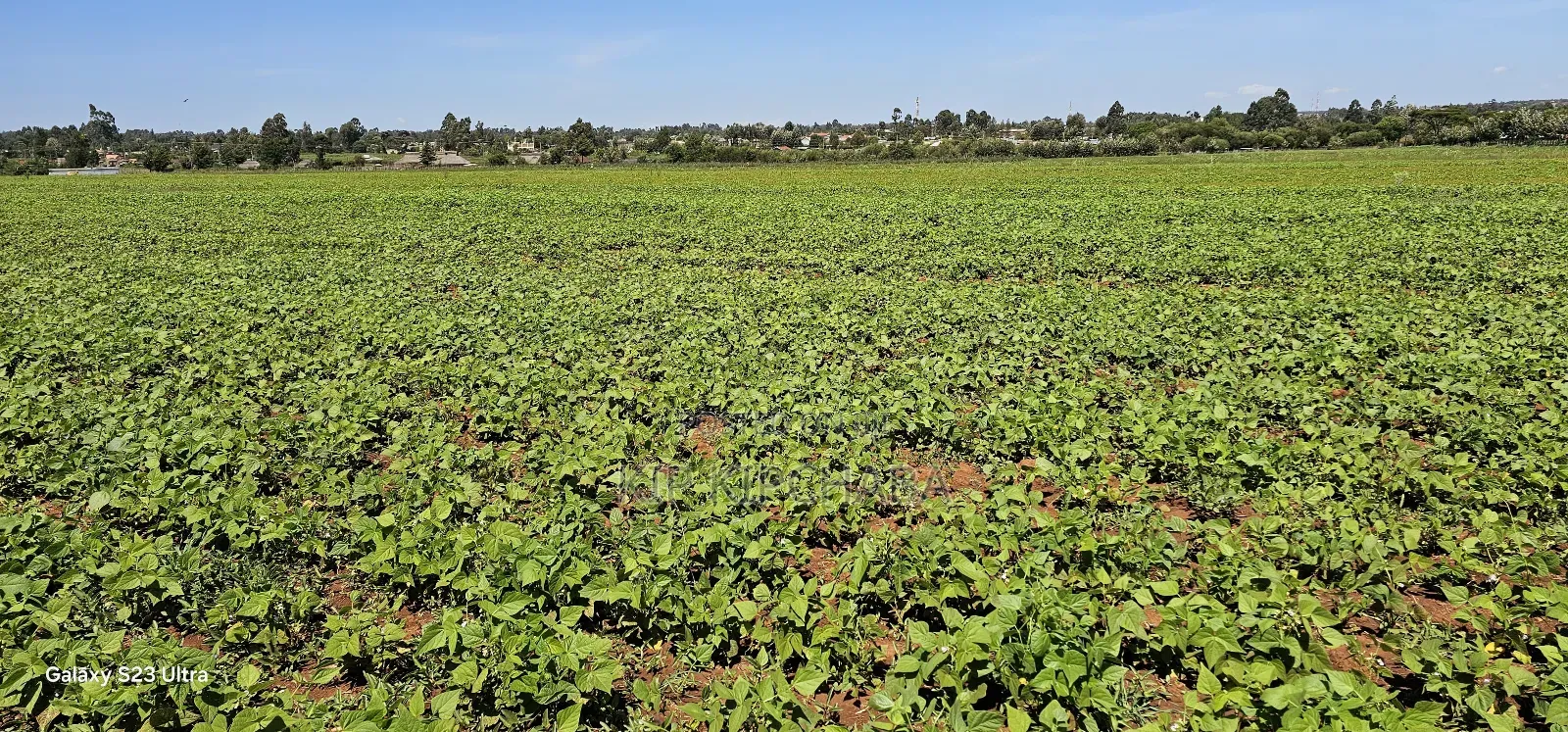 Commercial Plots for Sale in Eldoret Marura Behind Delta