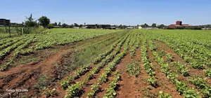 Commercial Plots for Sale in Eldoret Marura Behind Delta