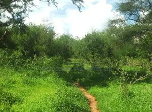 1000 Acres Block on Kambu River Is for Sale in Kambu Makueni