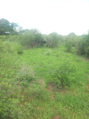 1000 Acres Block on Kambu River Is for Sale in Kambu Makueni