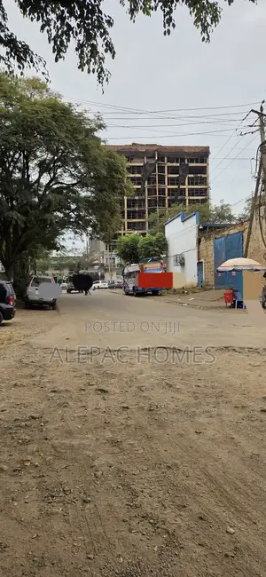 Go Down for Sale in Ruiru-Town