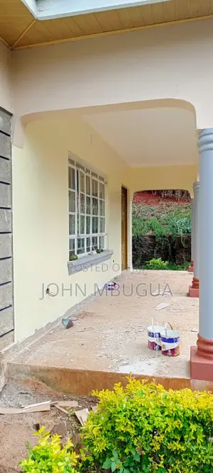 Painting and Interior Painting