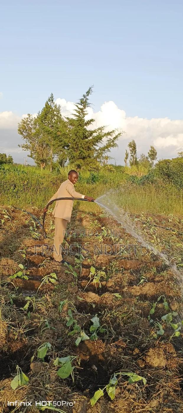 Quick Selling Land - main view