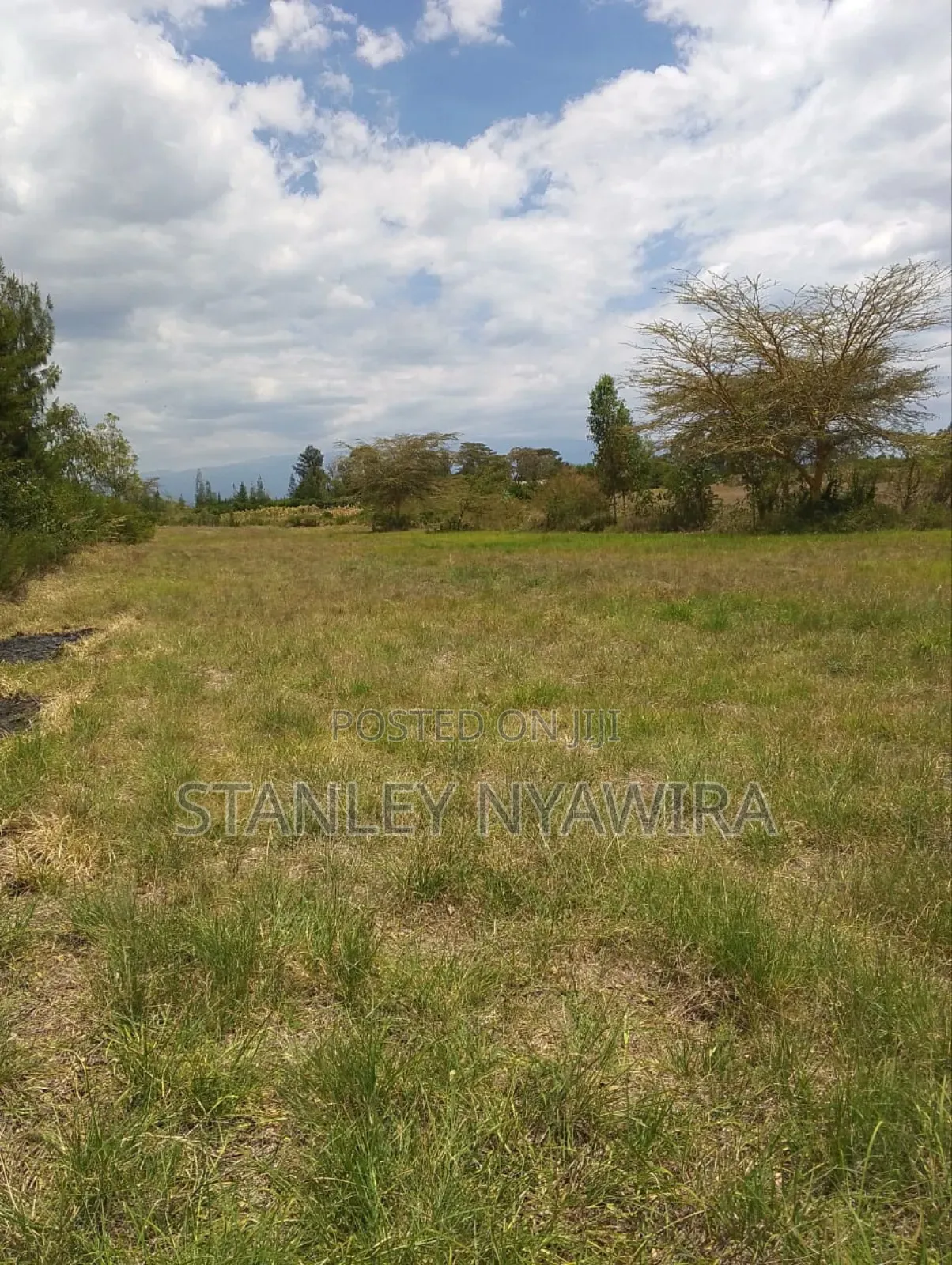 6 Acreas Nanyuki Sweet Water
