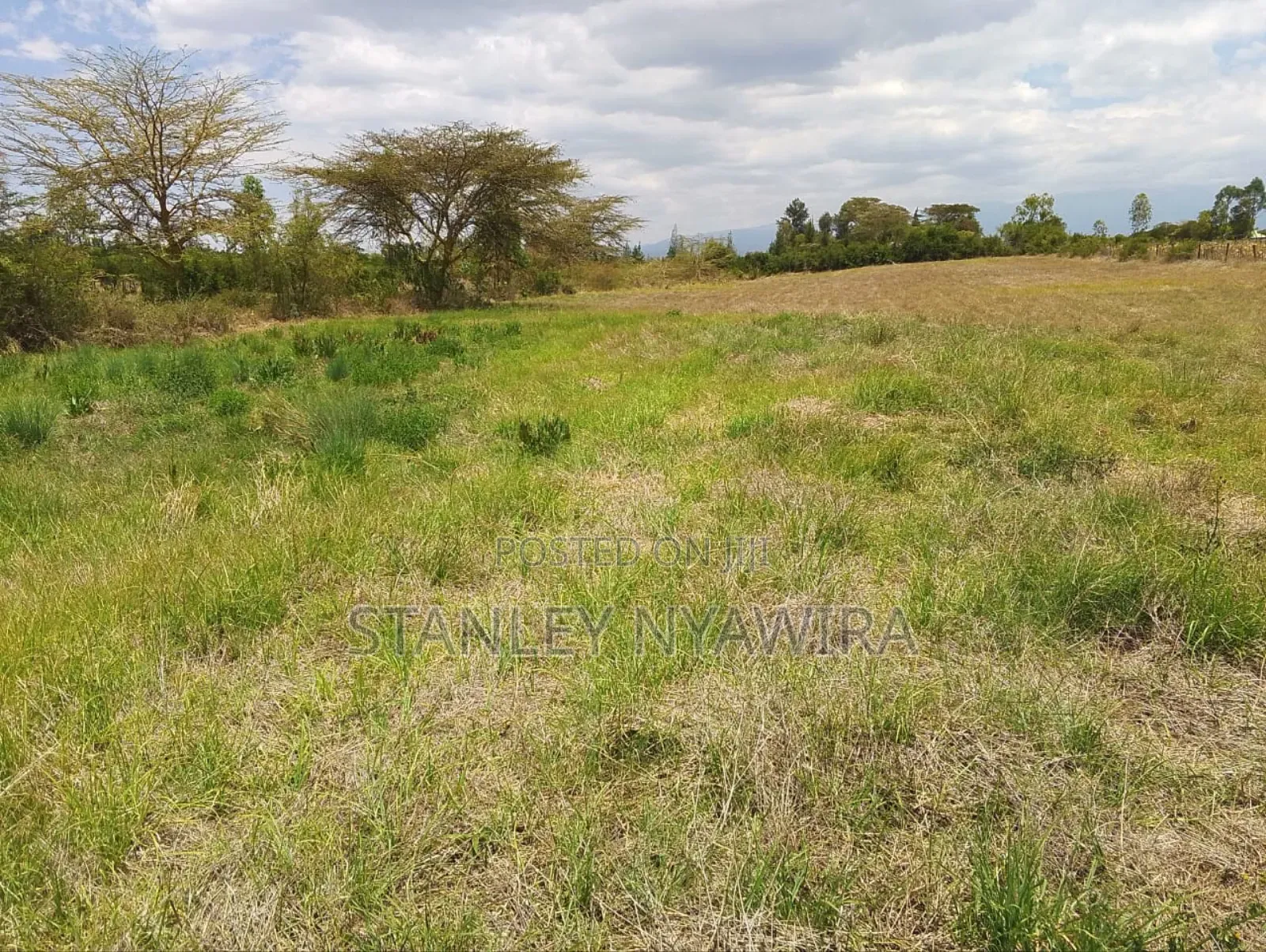 6 Acreas Nanyuki Sweet Water