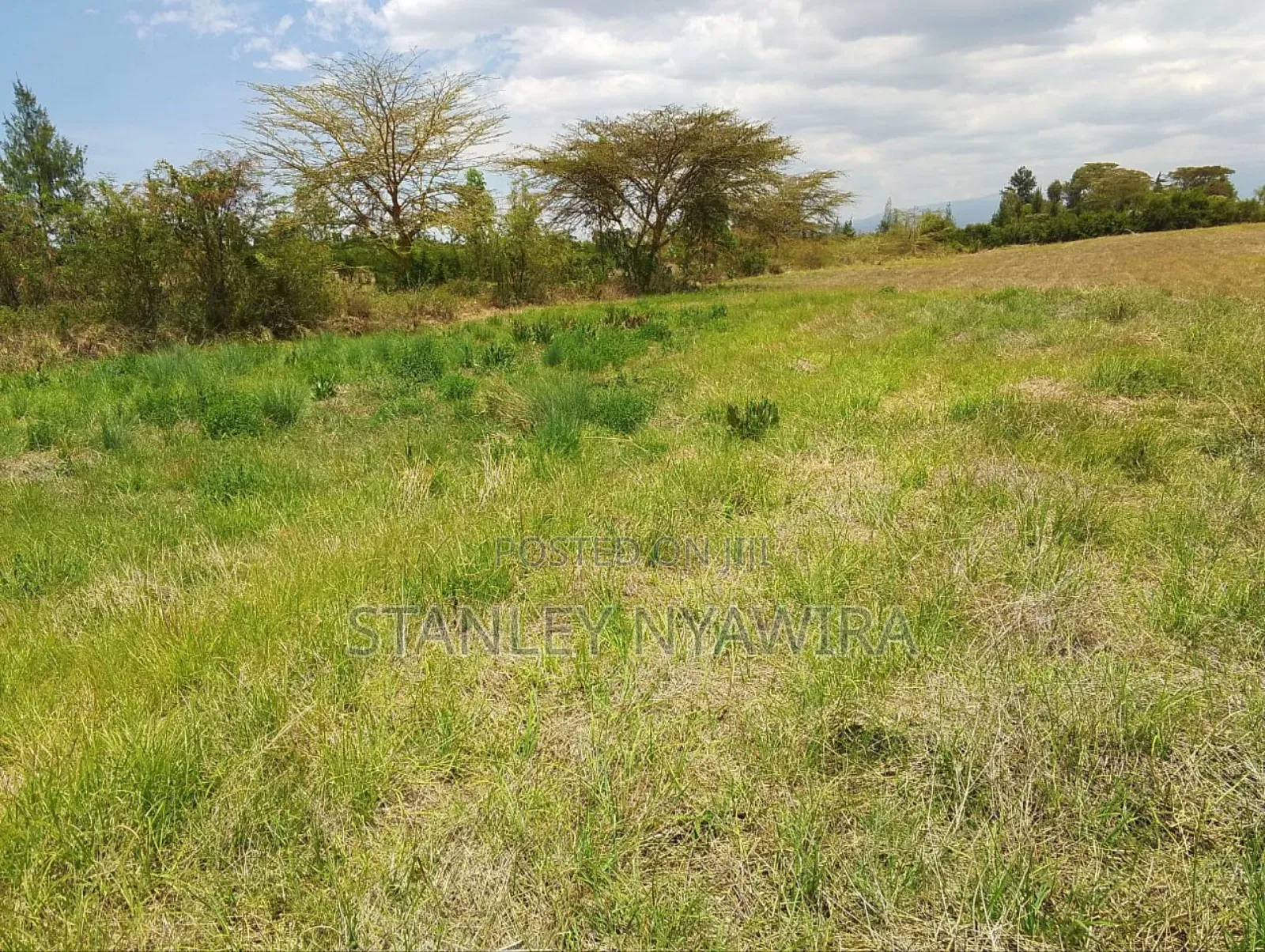 6 Acreas Nanyuki Sweet Water