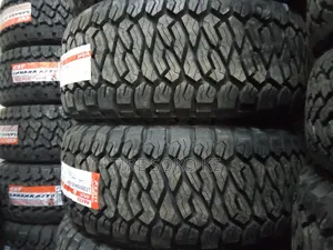 285/55 R20 Maxxis Razr At811