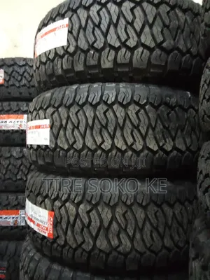 285/55 R20 Maxxis Razr At811