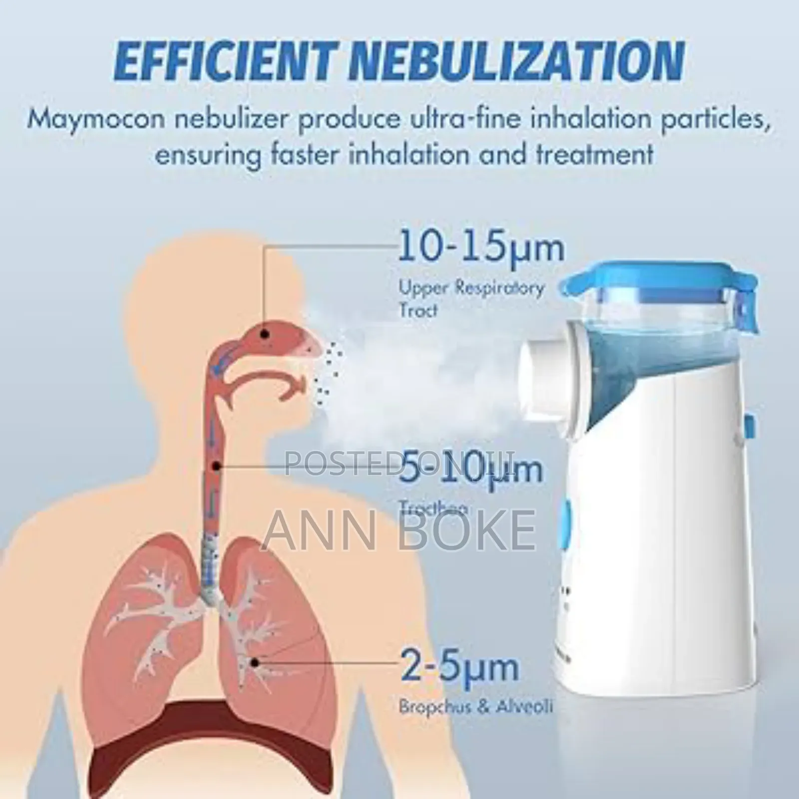 *Mesh Nebulizer Now Available