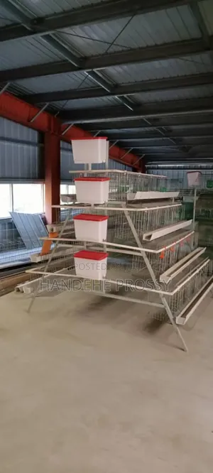 Chicken Cages