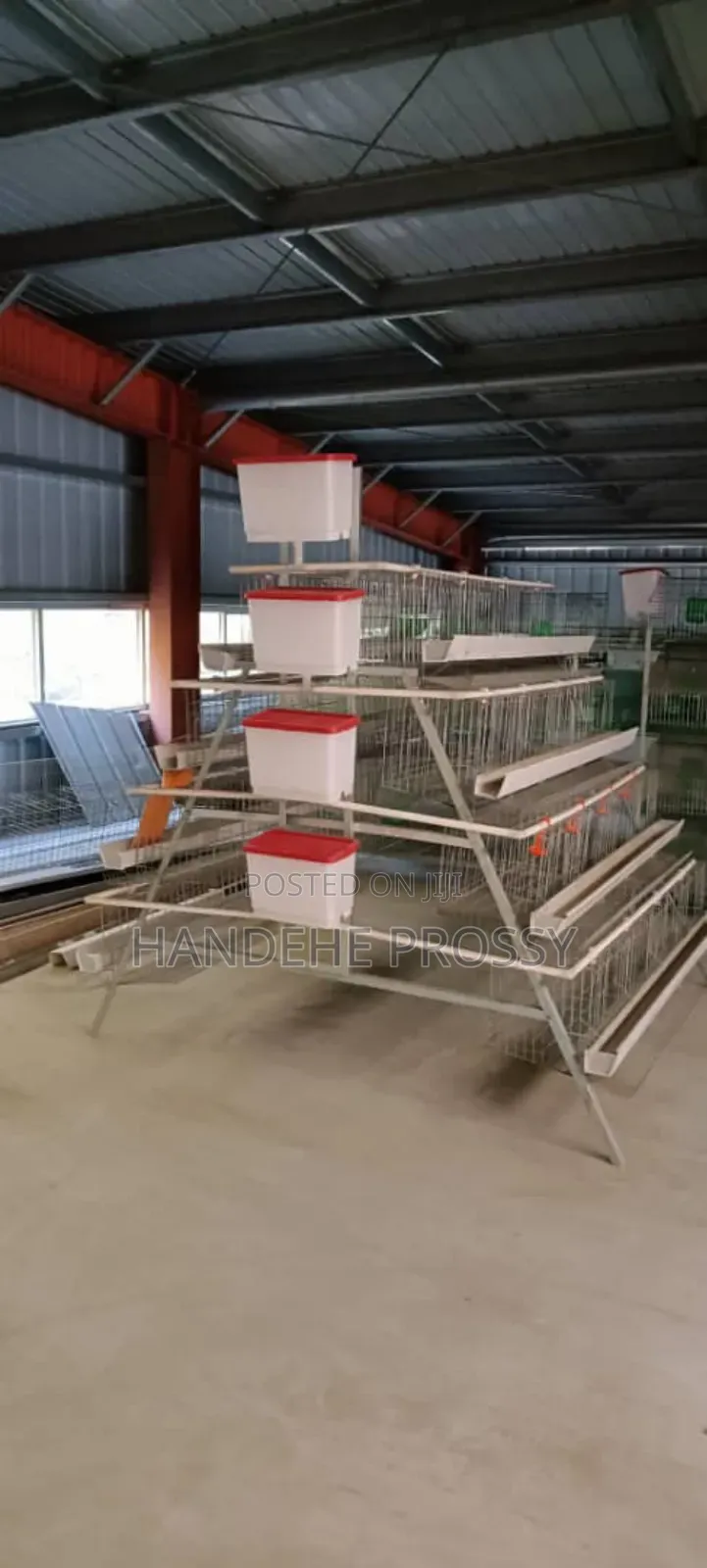 Chicken Cages