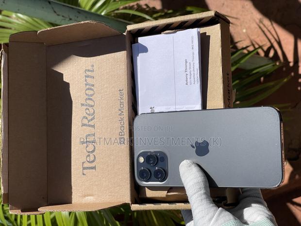 Apple iPhone 12 Pro Max 256 GB Gray - thumbnail 3