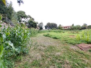 Runda 3/4 Acre Residential Plot for Sale - thumbnail 2