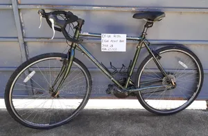 Sale!!Sale!!Royal Raleigh Bike