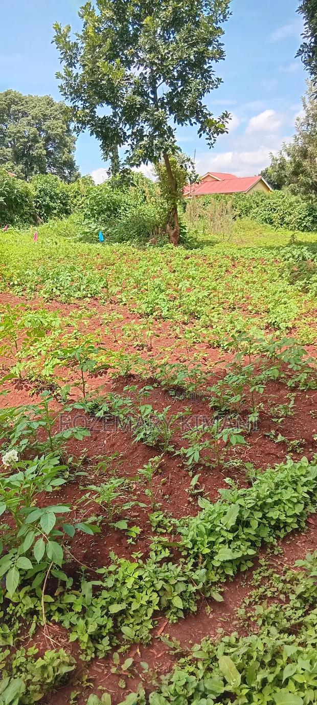 Landfor Sale in Ngecha Limuru