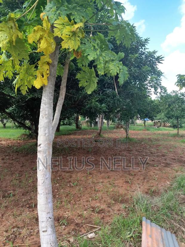 2acres Bofa Kilifi - thumbnail 3