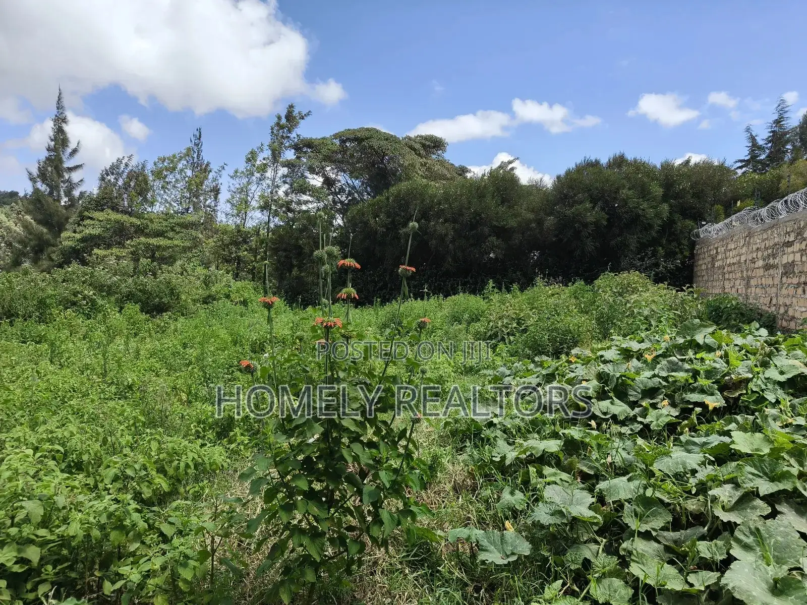 Eighth Acre Plot in Ngong Along Maragara Road Near Tarmac