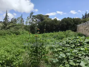 Eighth Acre Plot in Ngong Along Maragara Road Near Tarmac