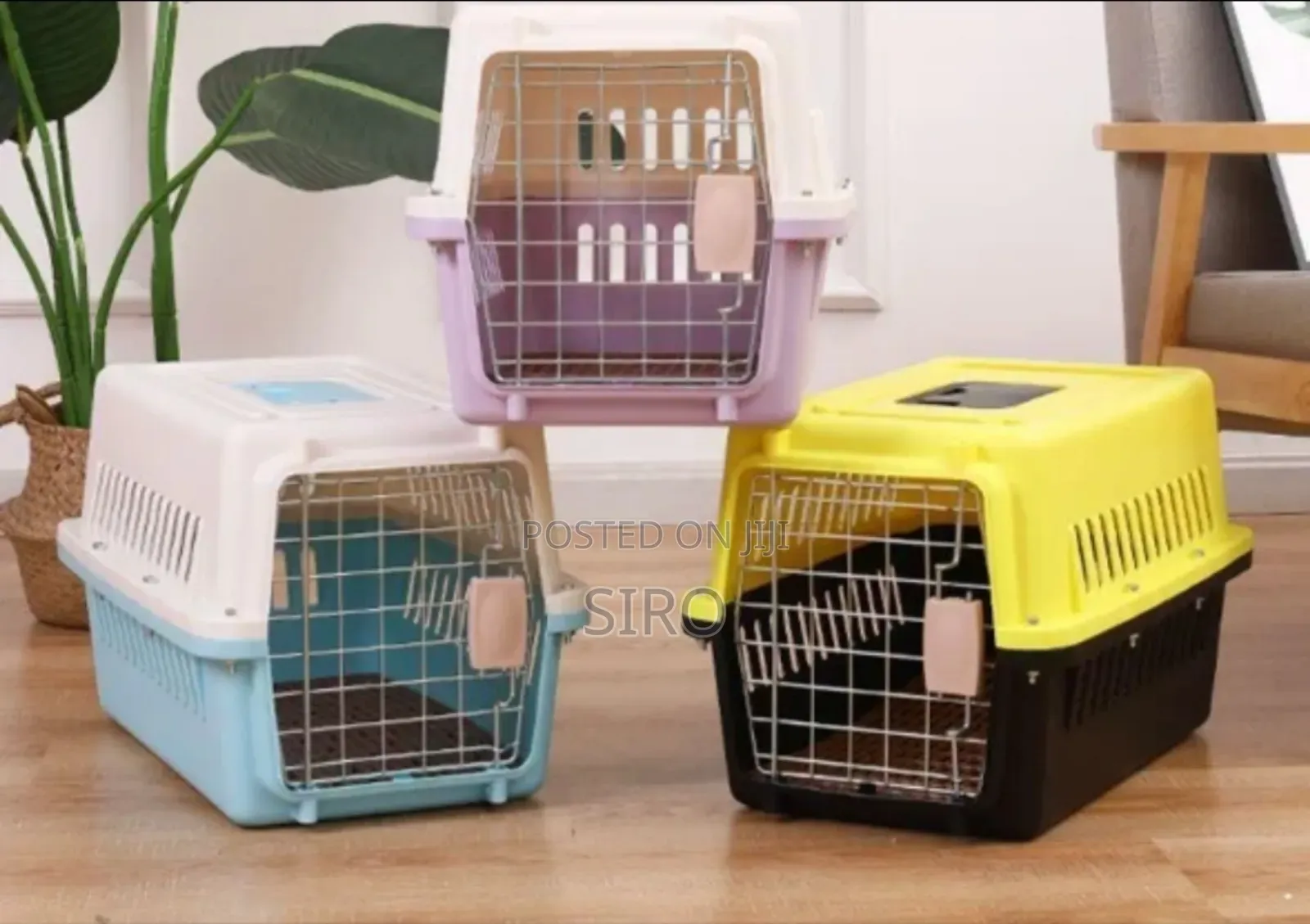Pet Carrier