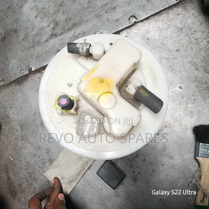 Vits/ Racist /Fielder Fuel Pump