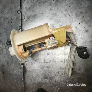 Vits/ Racist /Fielder Fuel Pump