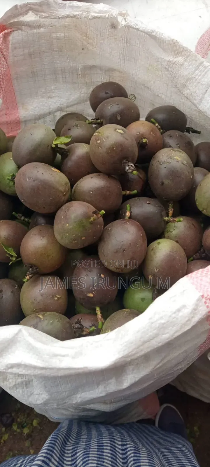 Passion Fruits