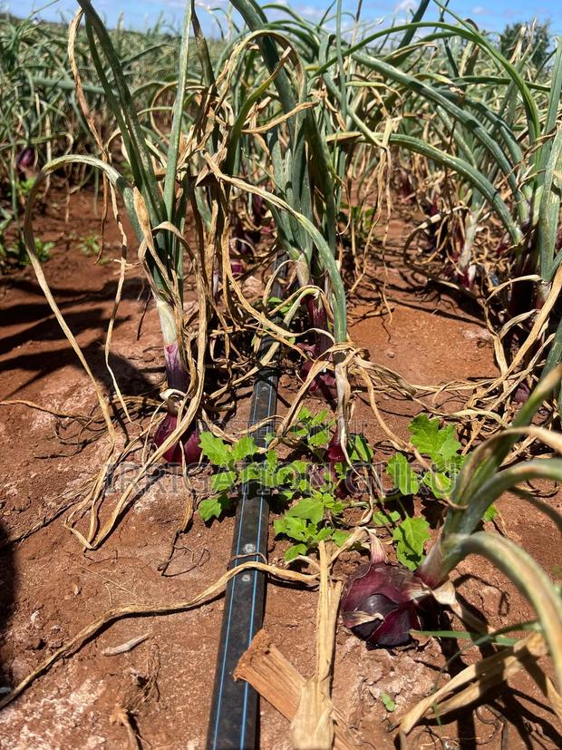 Driplines 0.4mm ,Spacing 10,15,20 and 30cm - thumbnail 2