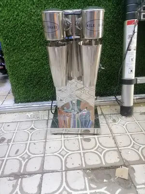 Commercial Standard Double Milkshake Machine