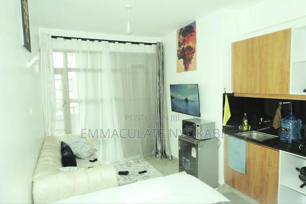 Studio Apartment(Roysambu) - main view