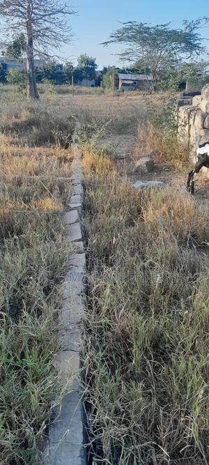 Jomvu Plot for Sale "6 Rooms" - thumbnail 2