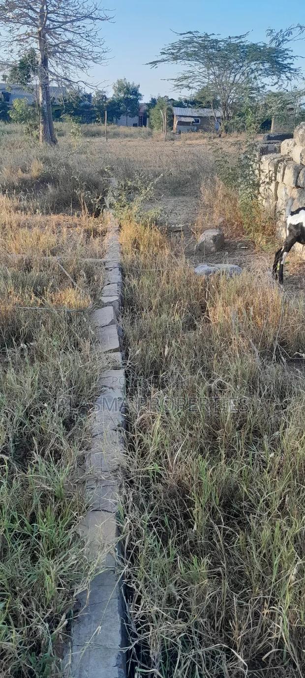 Jomvu Plot for Sale "6 Rooms" - main view