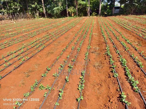 Driplines for Your Drip Kit System - main view