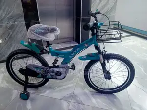 Bike Size 20 With Shock Absorber
