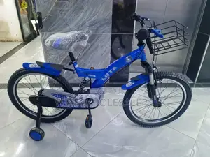 Bike Size 20 With Shock Absorber