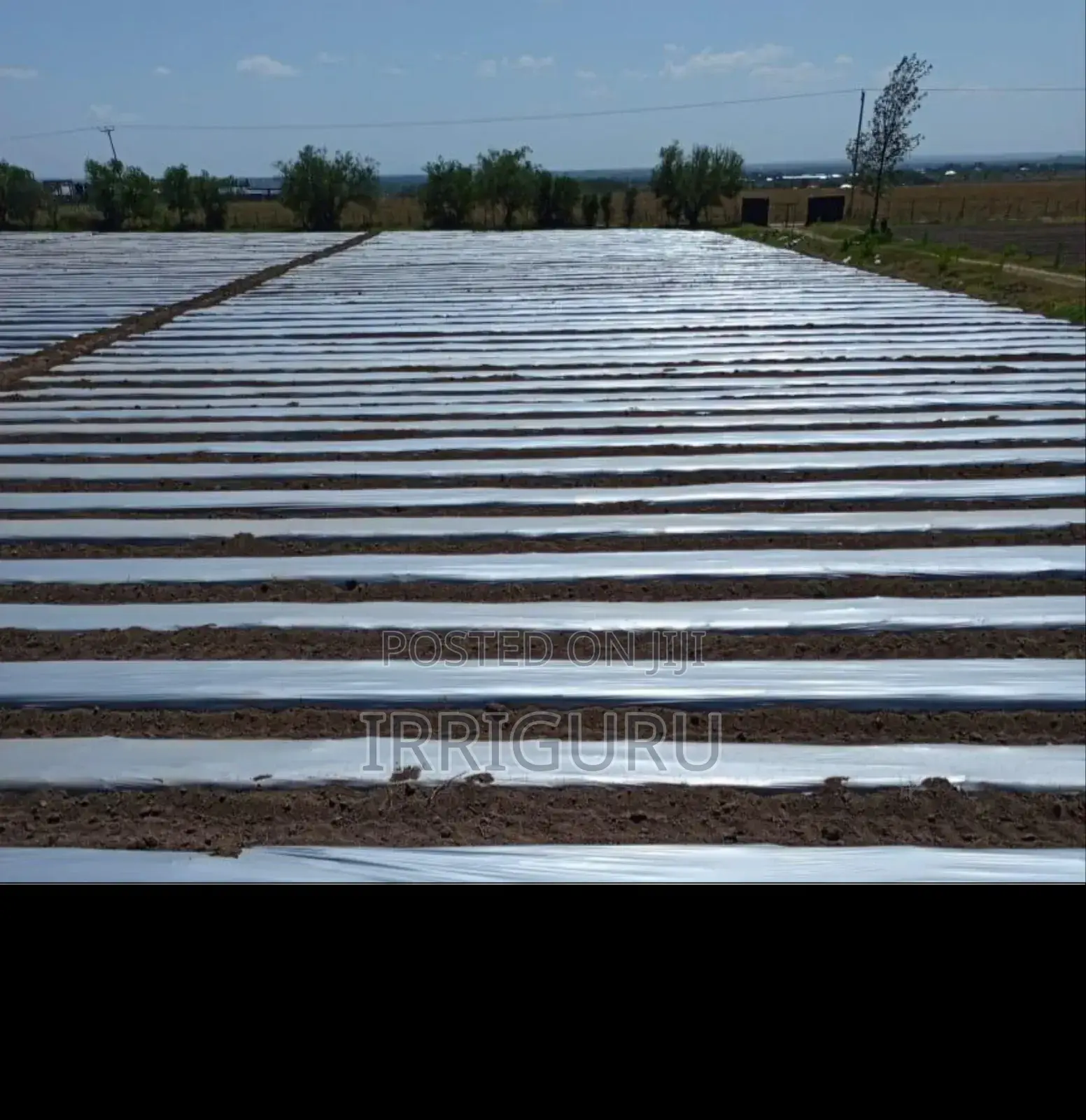 Mulching Technology
