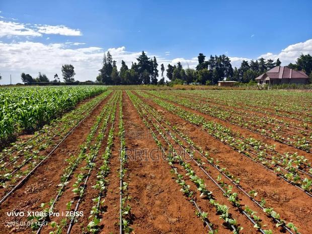 Dripline 16mm/15cm - main view