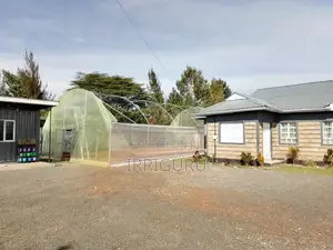 Yellow Polythene for Greenhouses