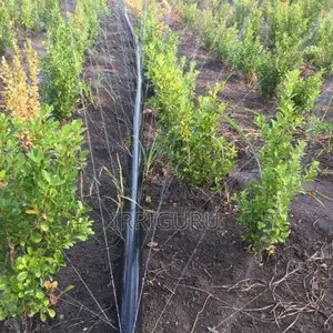 Rainhose Pipes