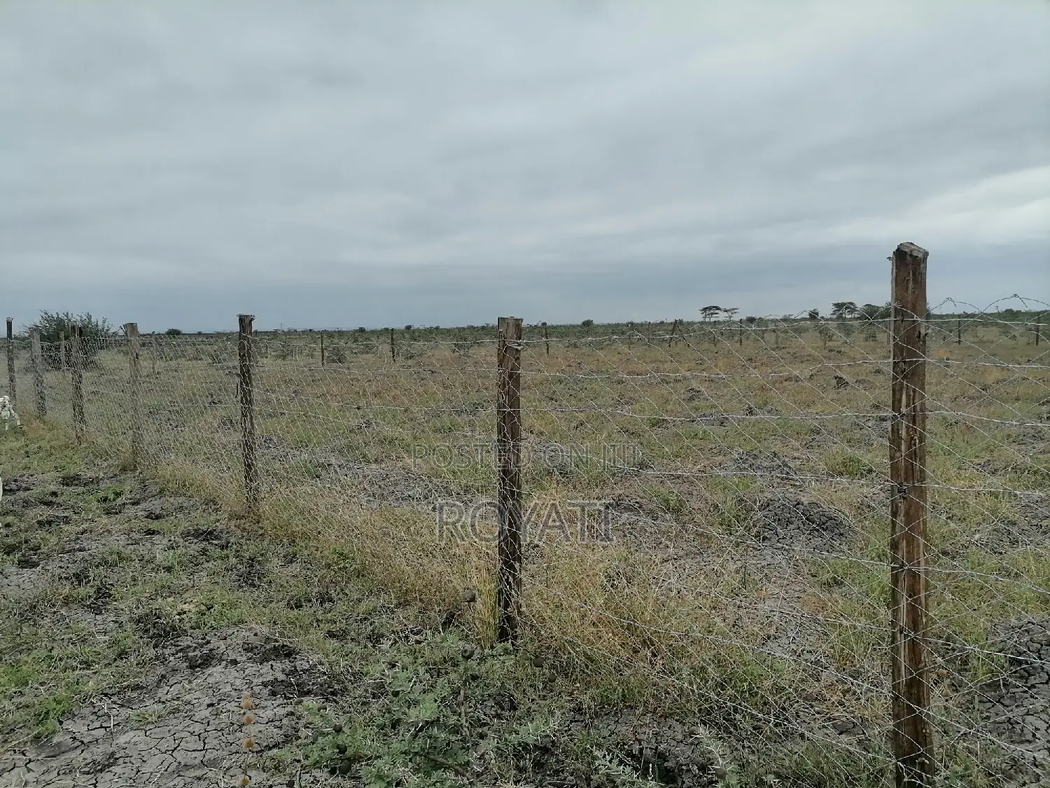 Deal Deal 50x100 Plot, Gatii, Ruai, Near Quickmart, Embakasi Sewage