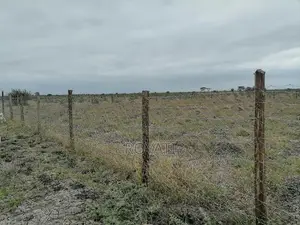 Deal Deal 50x100 Plot, Gatii, Ruai, Near Quickmart, Embakasi Sewage