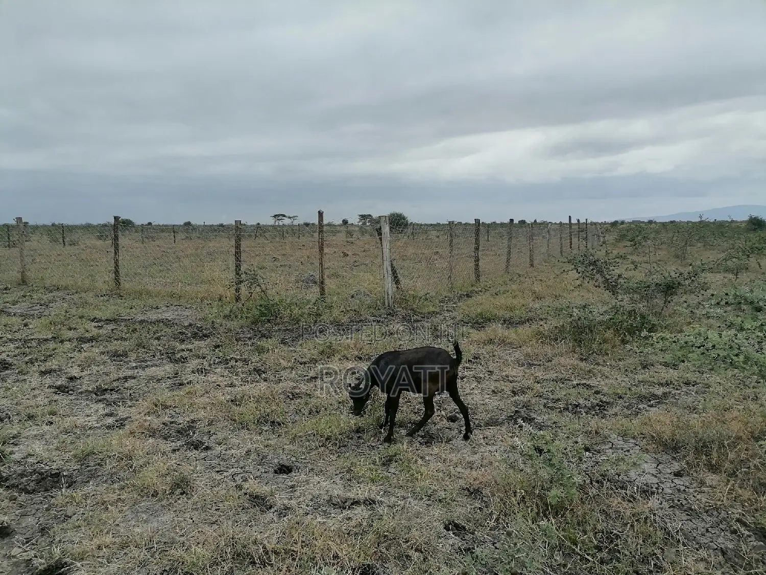 Deal Deal 50x100 Plot, Gatii, Ruai, Near Quickmart, Embakasi Sewage
