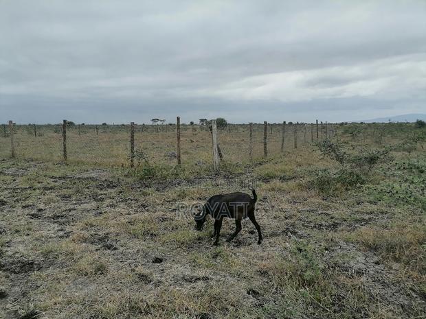 100x100 Plot, Gatii, Ruai, Near Quickmart, Embakasi Sewage - thumbnail 5