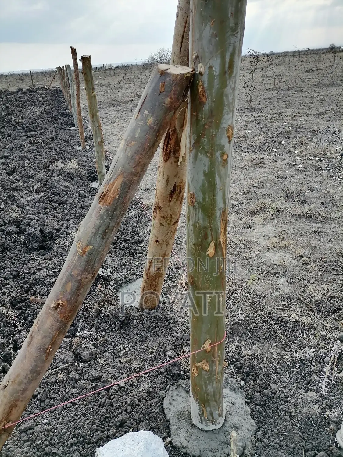 Deal Deal 50x100 Plot, Gatii, Ruai, Near Quickmart, Embakasi Sewage