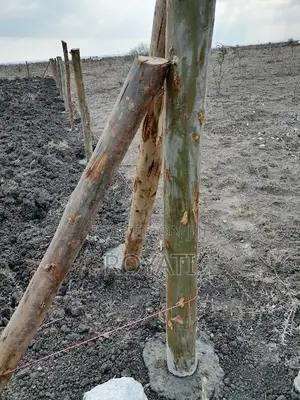 Deal Deal 50x100 Plot, Gatii, Ruai, Near Quickmart, Embakasi Sewage