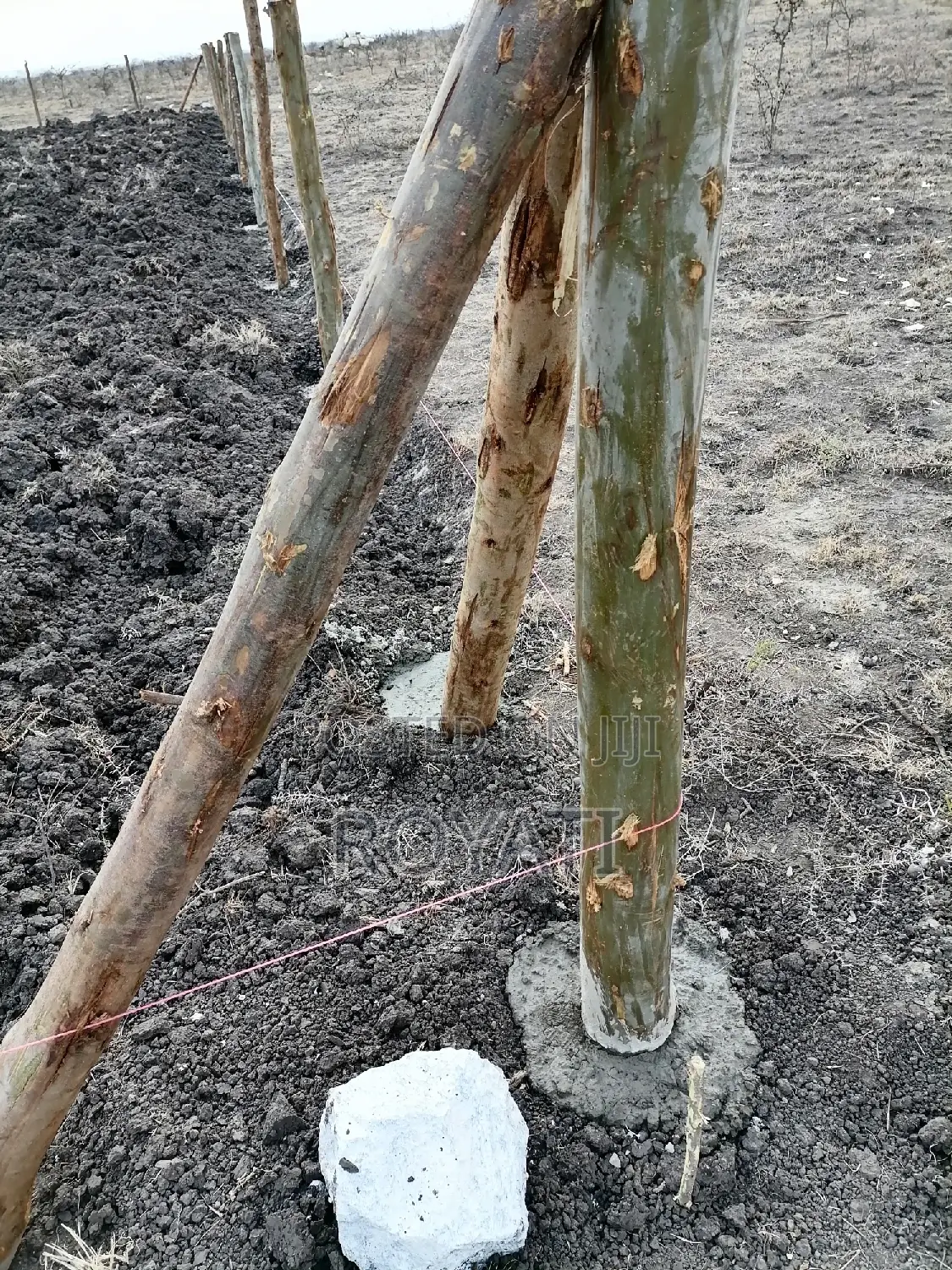 Deal Deal 50x100 Plot, Gatii, Ruai, Near Quickmart, Embakasi Sewage