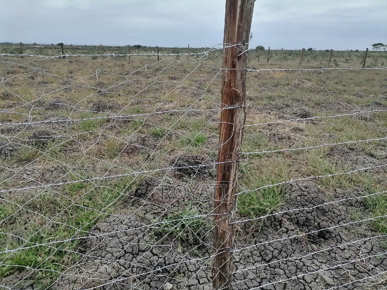 Deal Deal 50x100 Plot, Gatii, Ruai, Near Quickmart, Embakasi Sewage