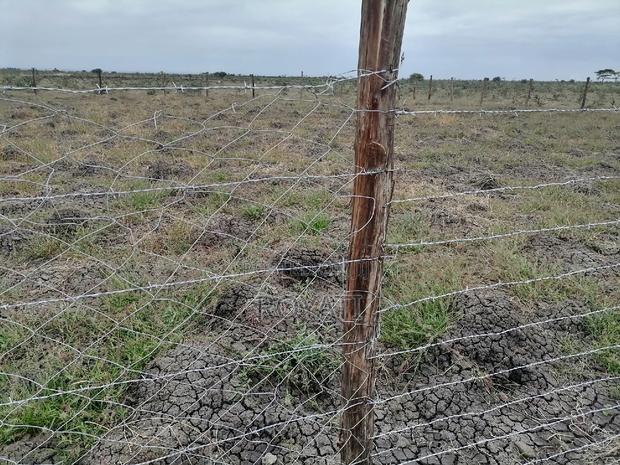 100x100 Plot, Gatii, Ruai, Near Quickmart, Embakasi Sewage - thumbnail 8